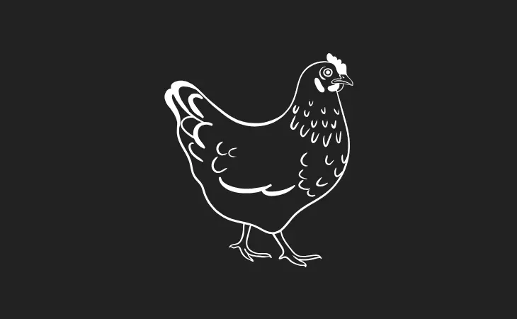 AVES